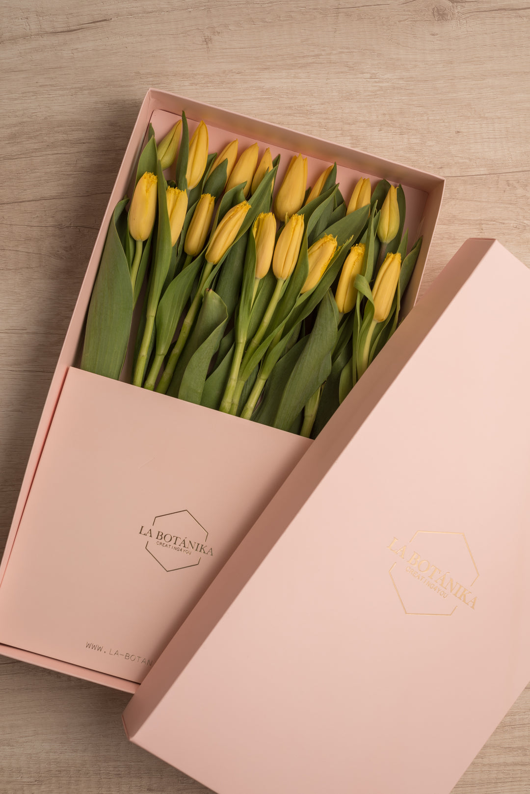 Classic Box 18 Tulipanes