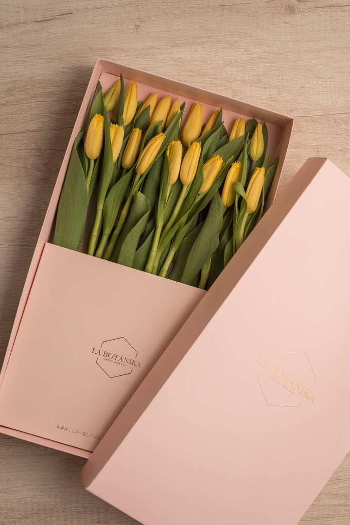 Classic Box 18 Tulipanes