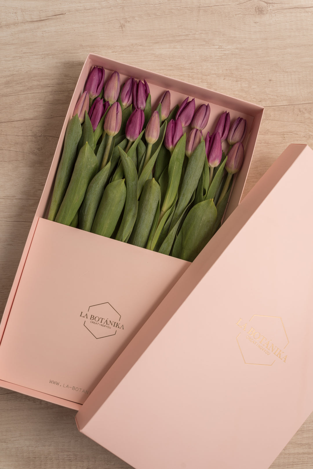 Classic Box 18 Tulipanes