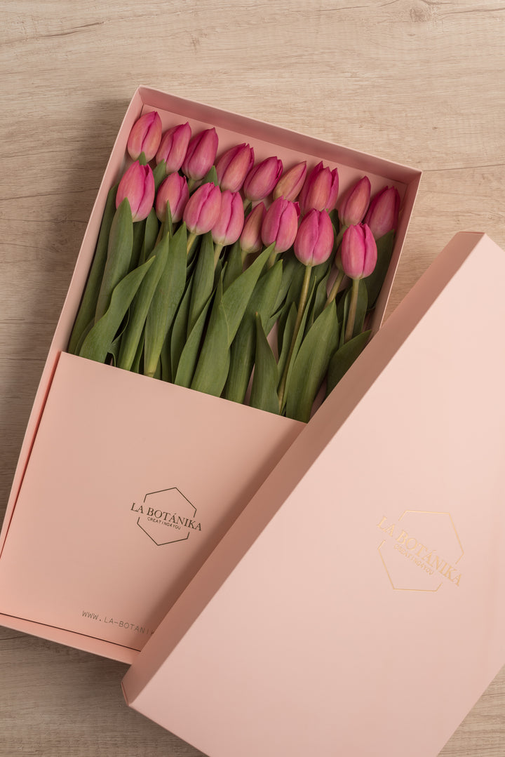 Classic Box 18 Tulipanes