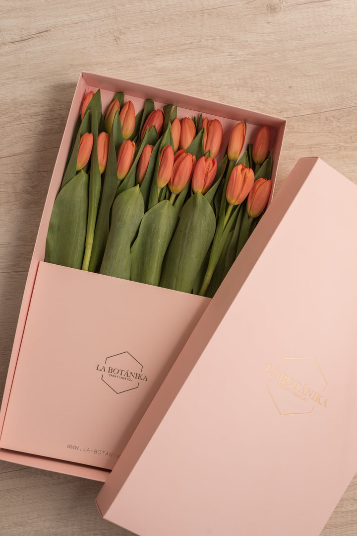 Classic Box 18 Tulipanes