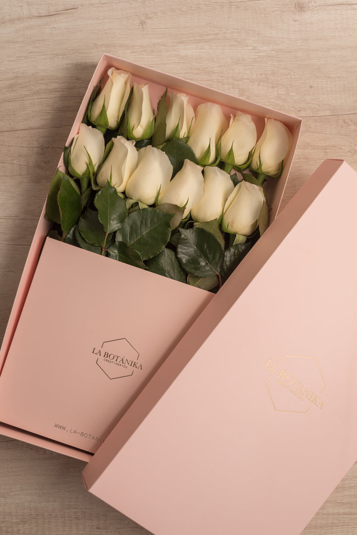 Classic Box 12 Rosas