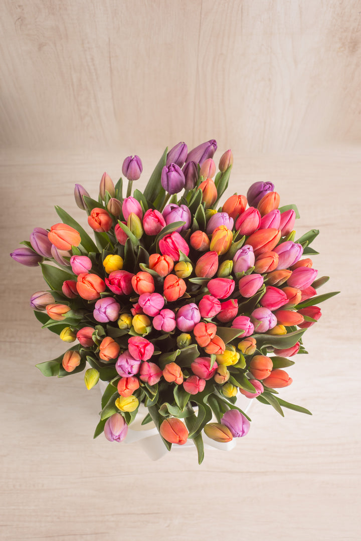 Splendid Box Mix 100 Tulipanes