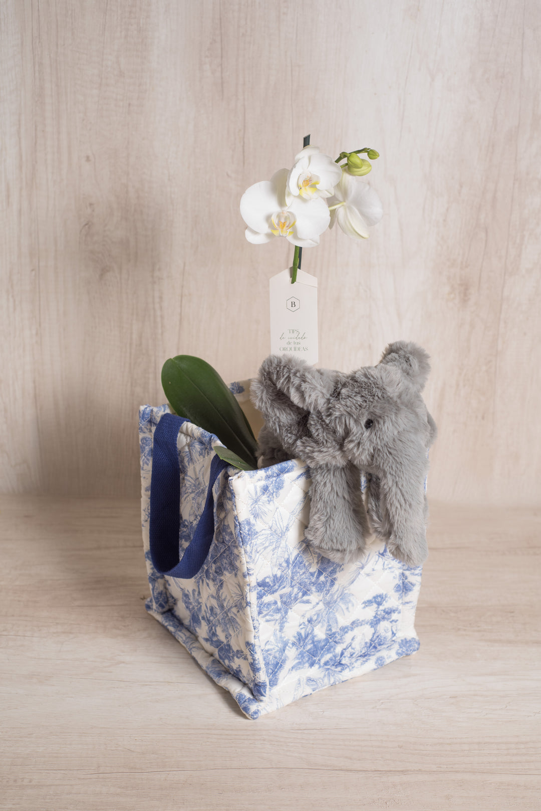 Juguetero Azul con Orquídea