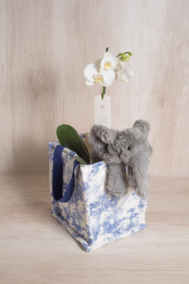 Juguetero Azul con Orquídea