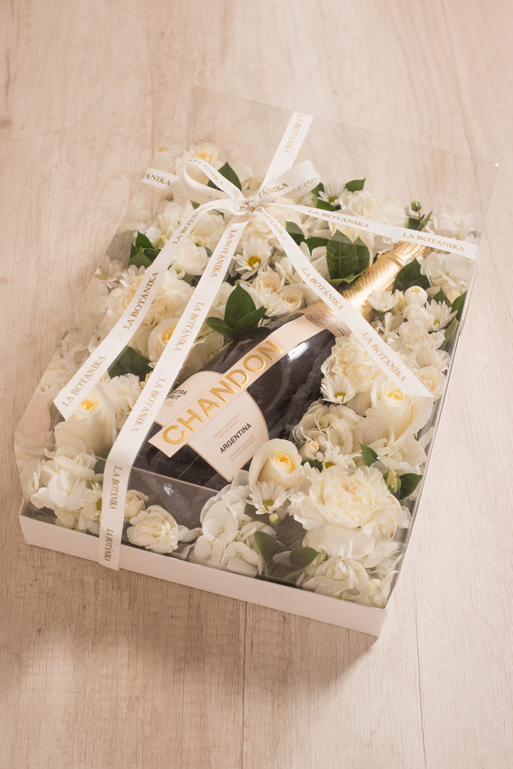 Bottle Box