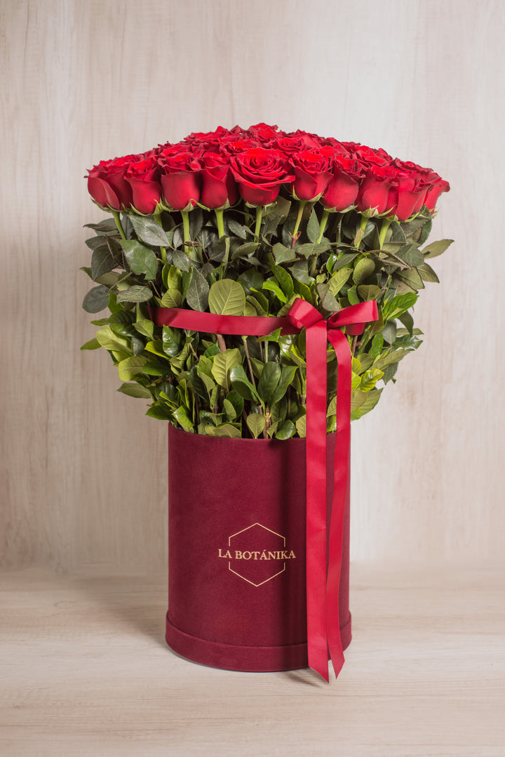Splendid Box 75 Rosas Rojas