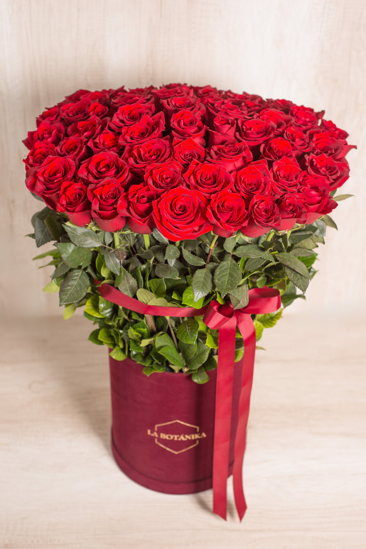 Splendid Box 75 Rosas Rojas