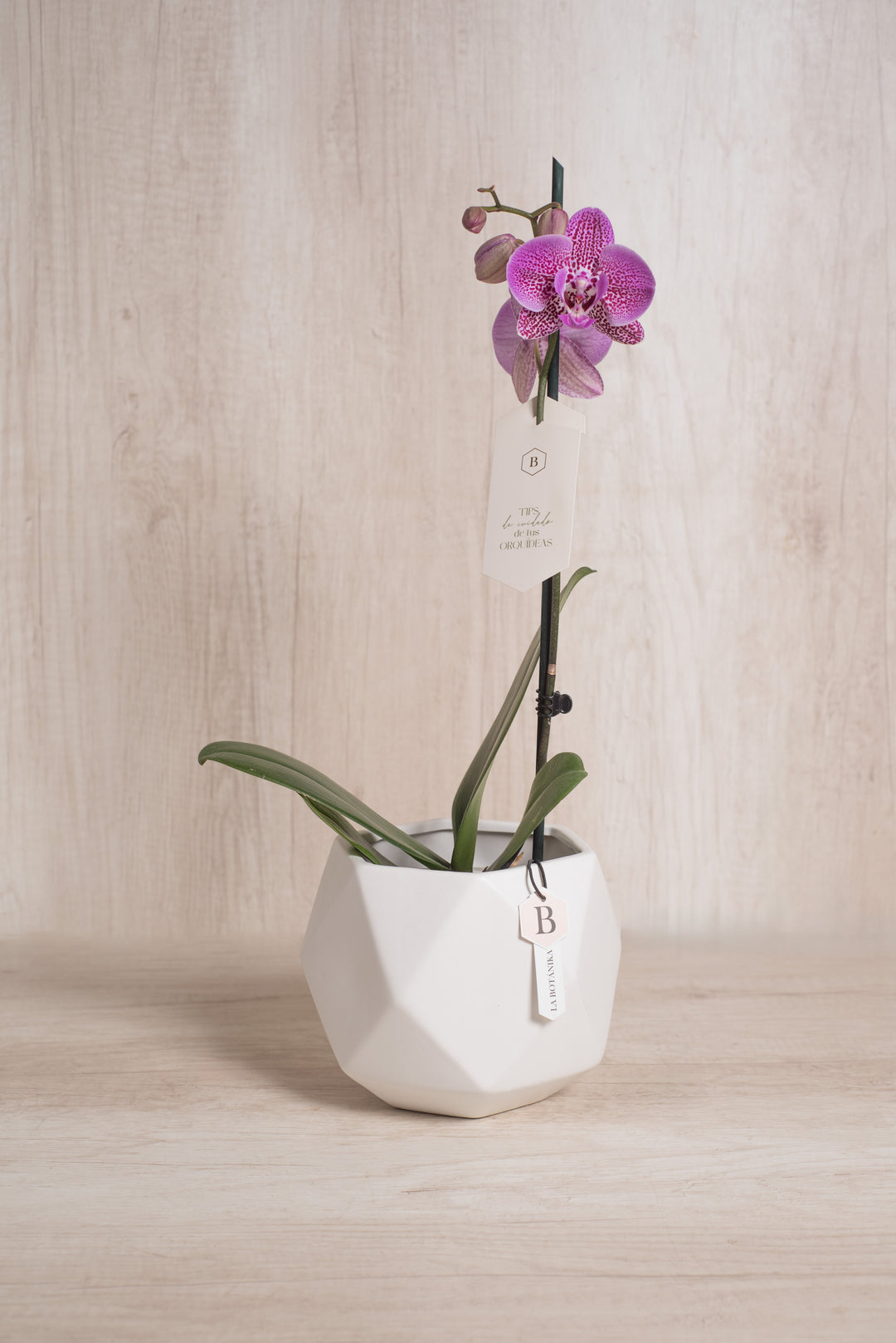 Esfera con Orquidea - mamá26