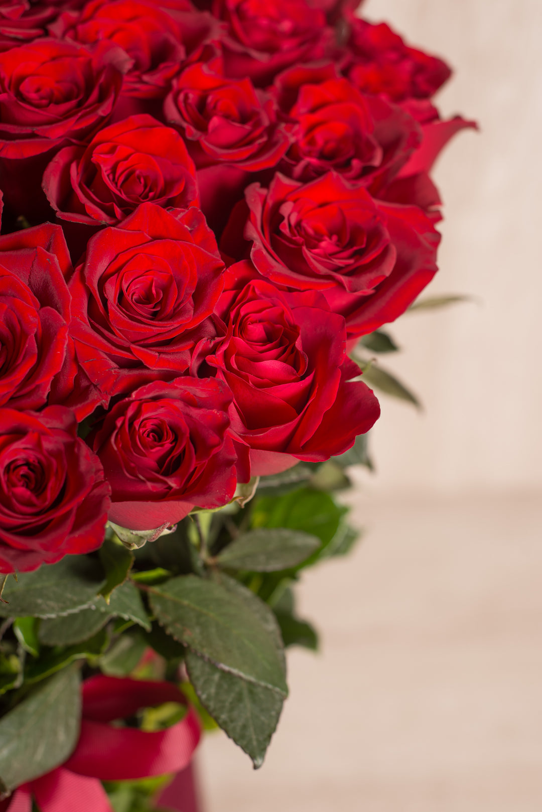 Splendid Box 75 Rosas Rojas