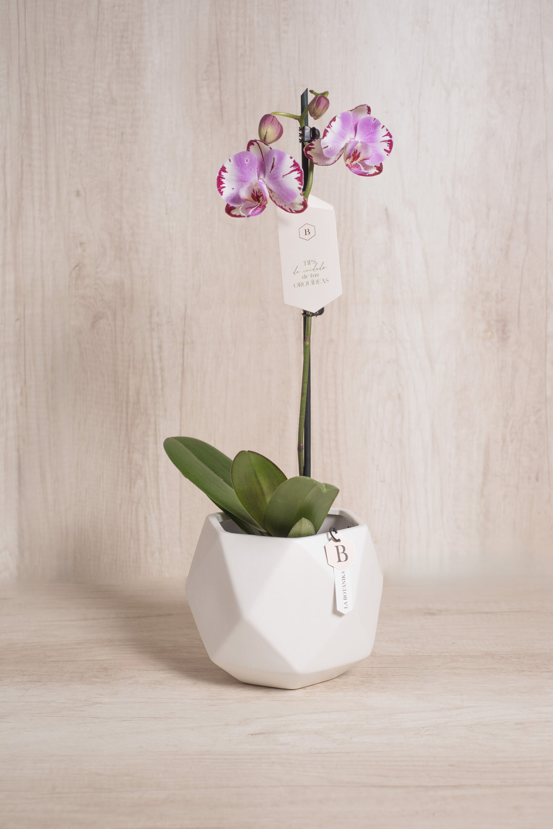 Esfera con Orquidea - mamá26