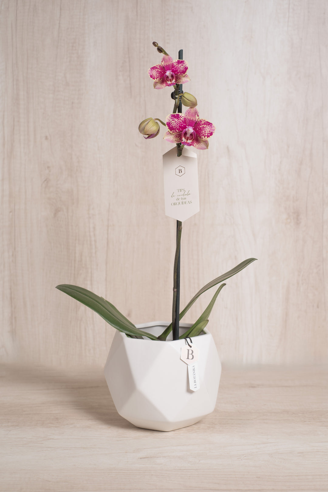 Esfera con Orquidea - mamá26