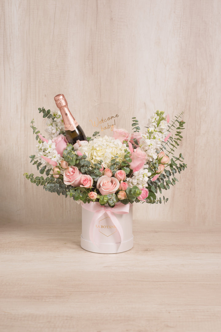 Welcome Baby Girl Cleo