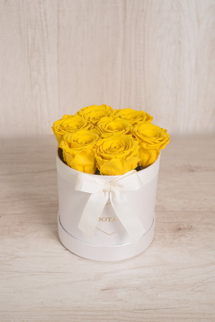 Round Box de Rosas Preservadas