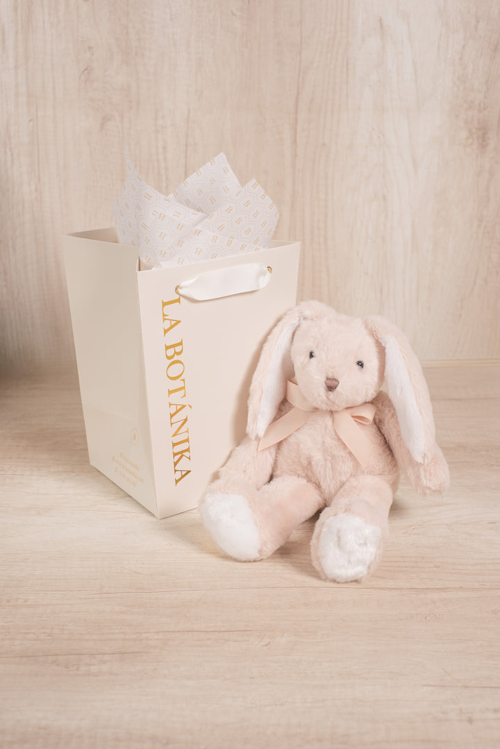 Conejo de Peluche