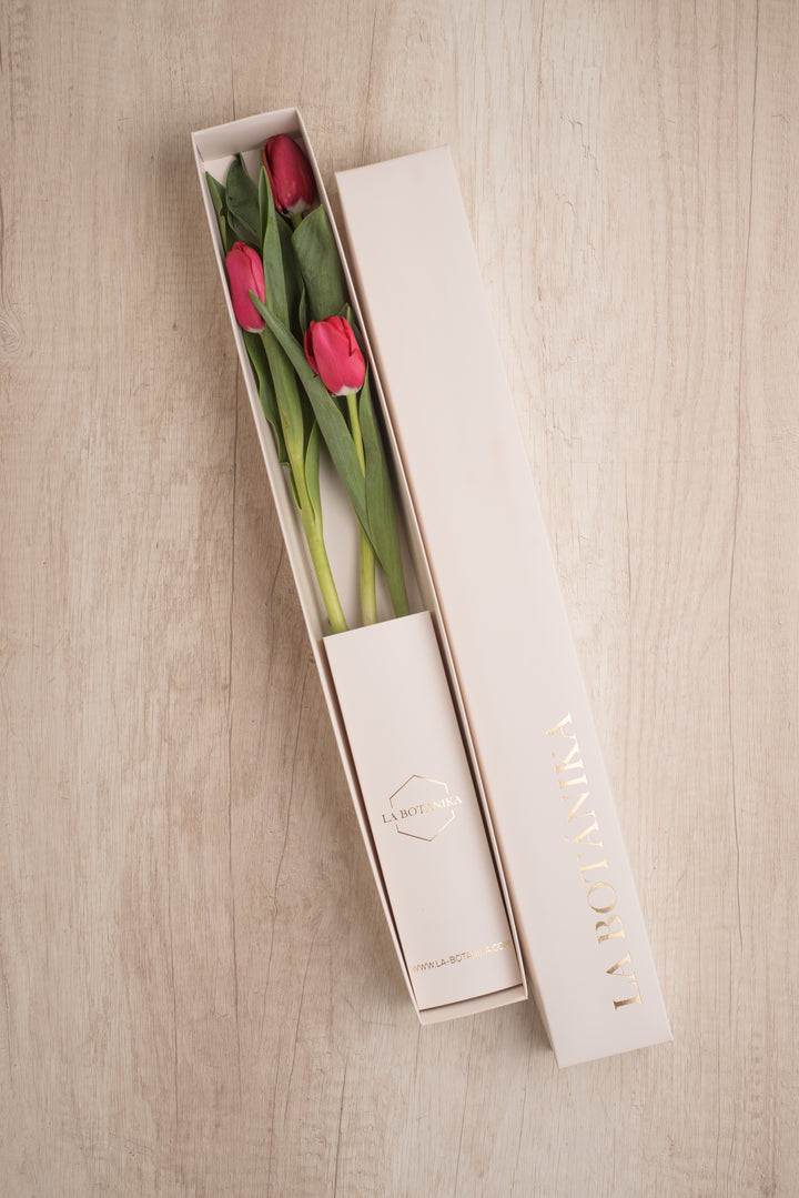 Classic Box 3 Tulipanes