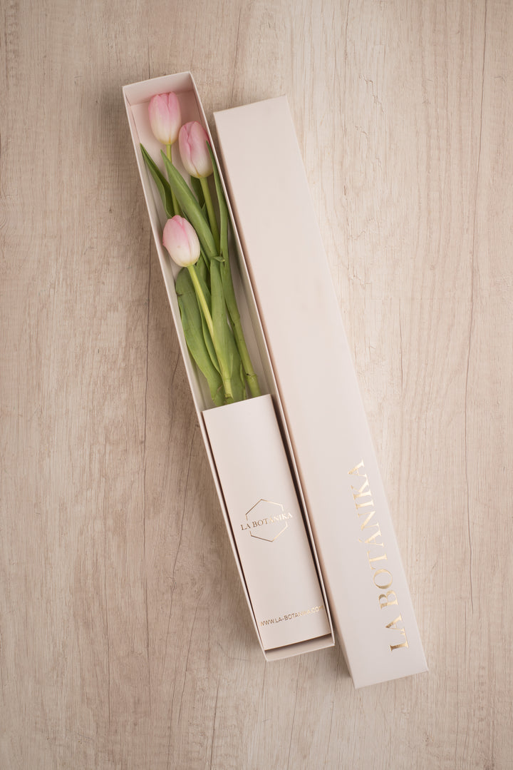 Classic Box 3 Tulipanes