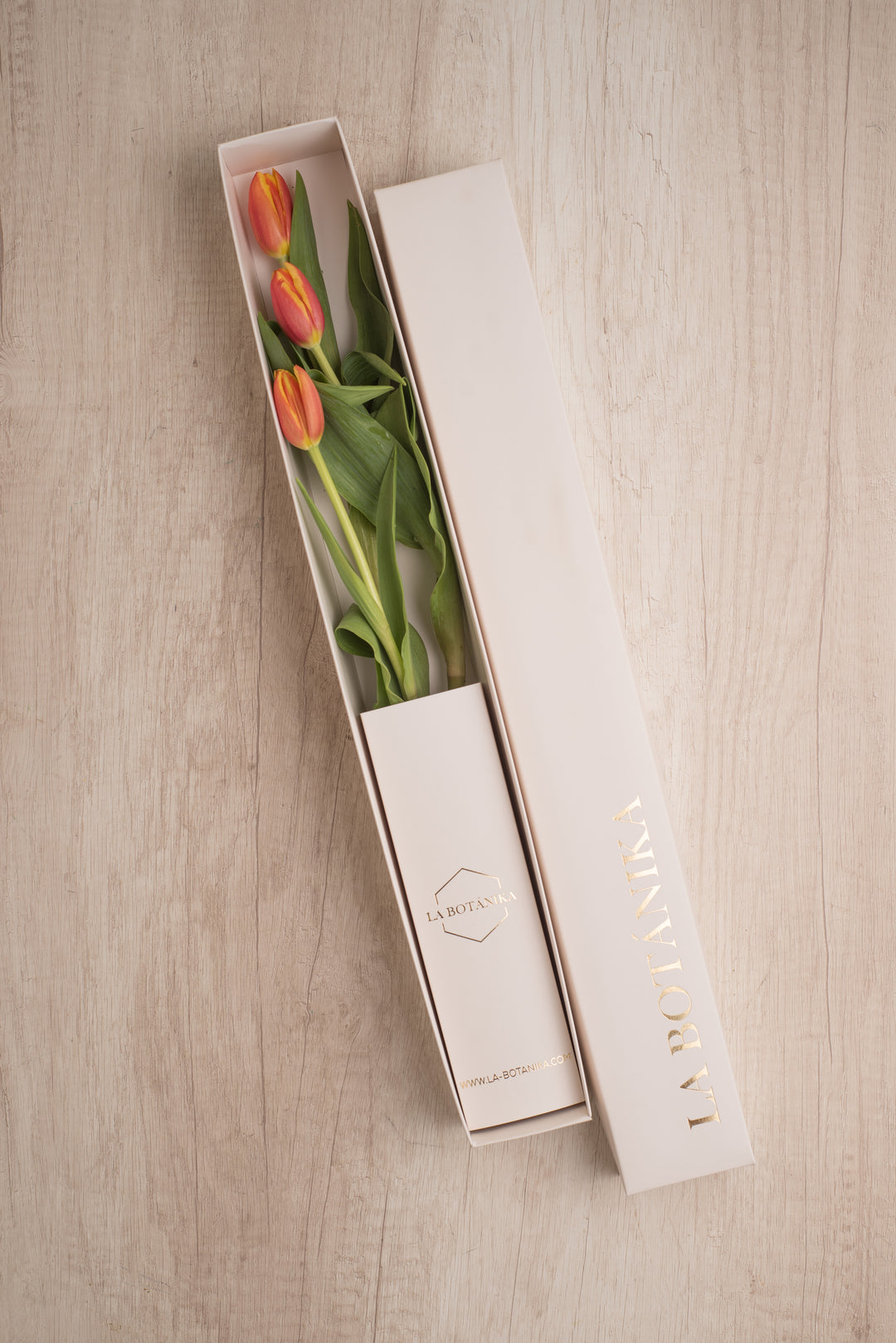 Classic Box 3 Tulipanes