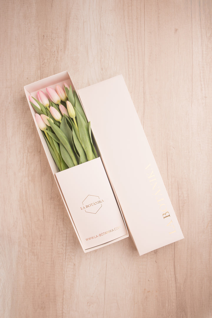Classic Box 10 Tulipanes - Mamá26
