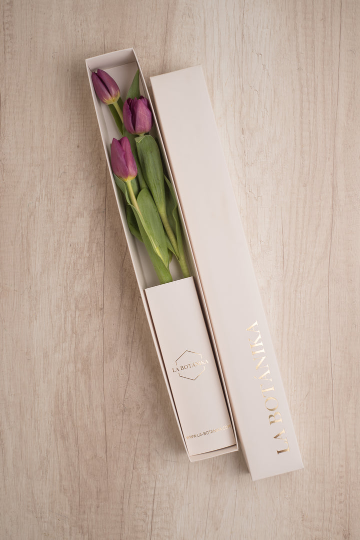 Classic Box 3 Tulipanes
