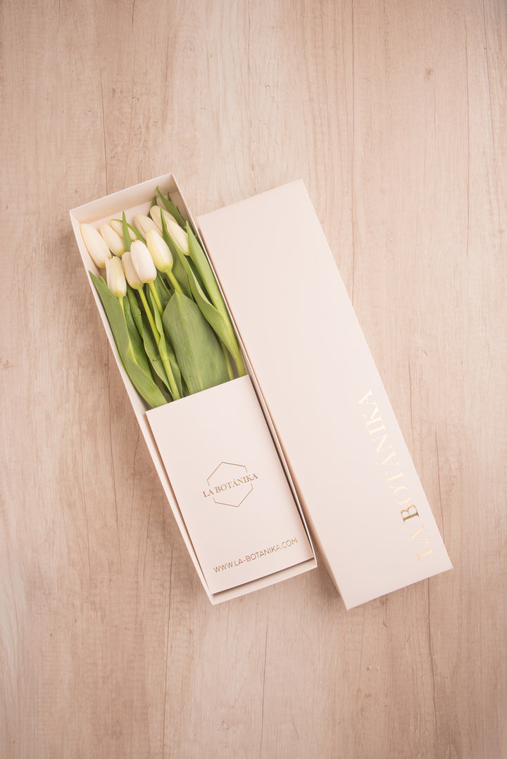 Classic Box 10 Tulipanes - Mamá26