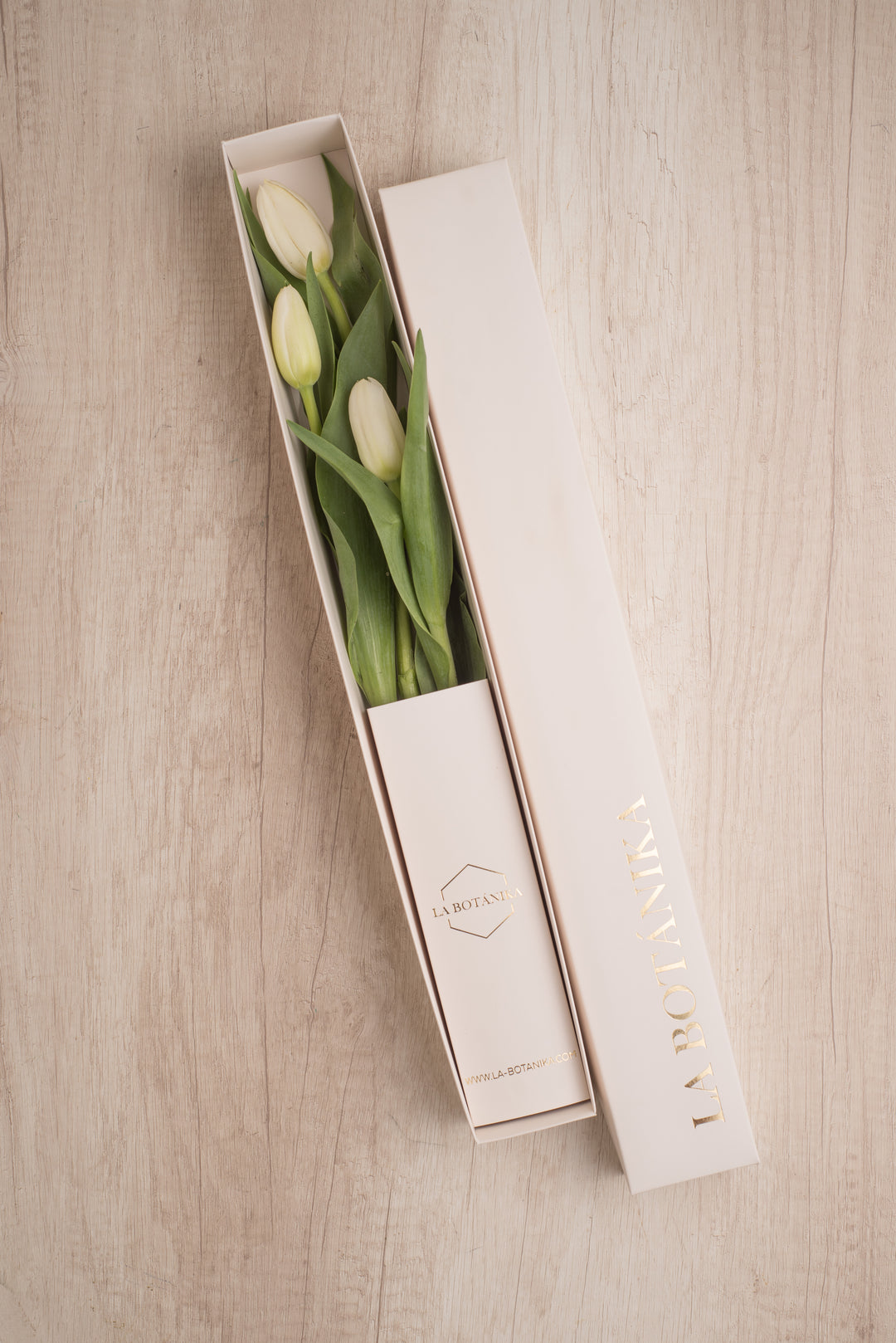 Classic Box 3 Tulipanes