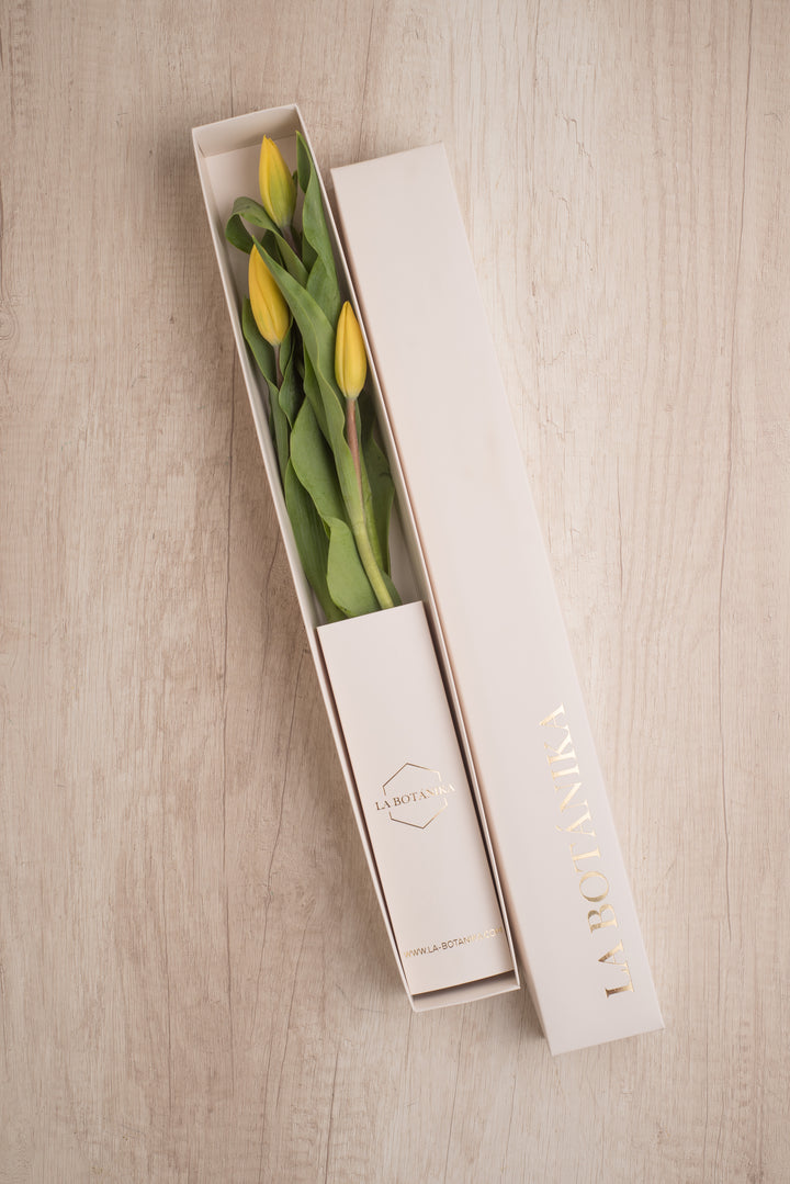 Classic Box 3 Tulipanes