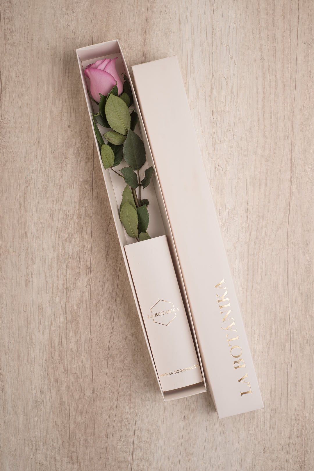 Classic Box 1 Rosa