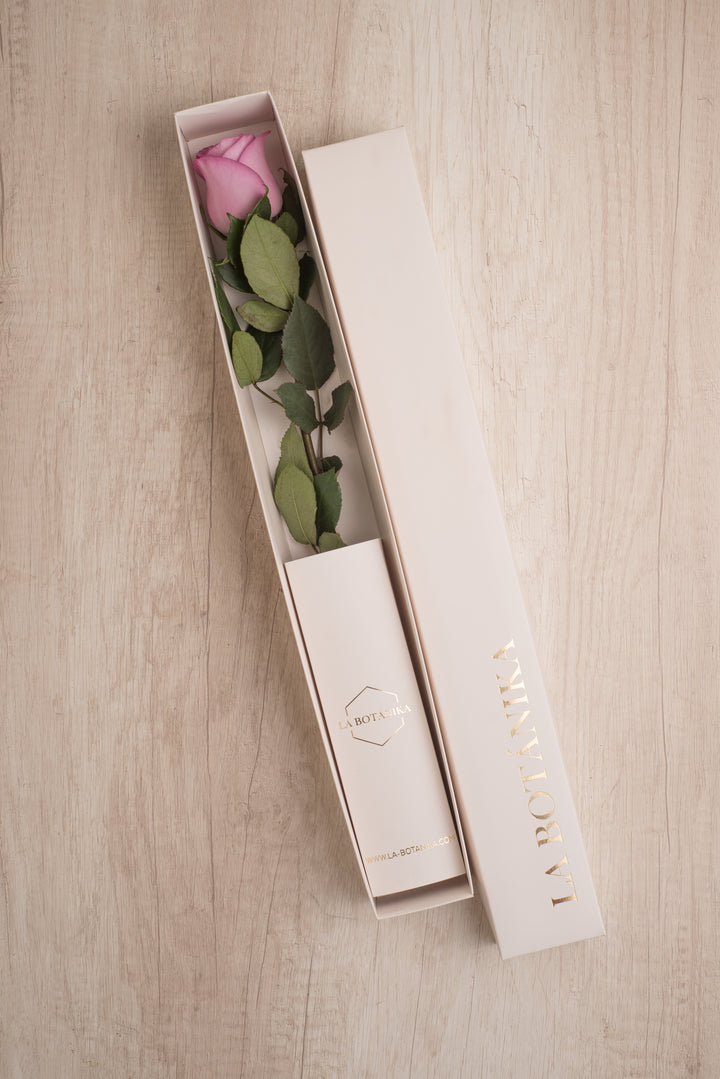 Classic Box 1 Rosa