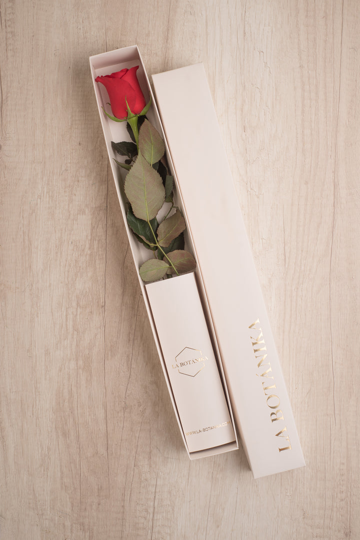 Classic Box 1 Rosa