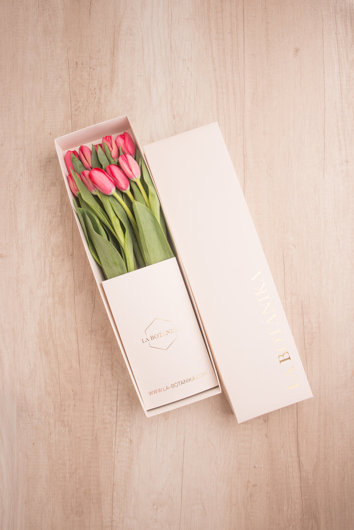 Classic Box 10 Tulipanes - Mamá26