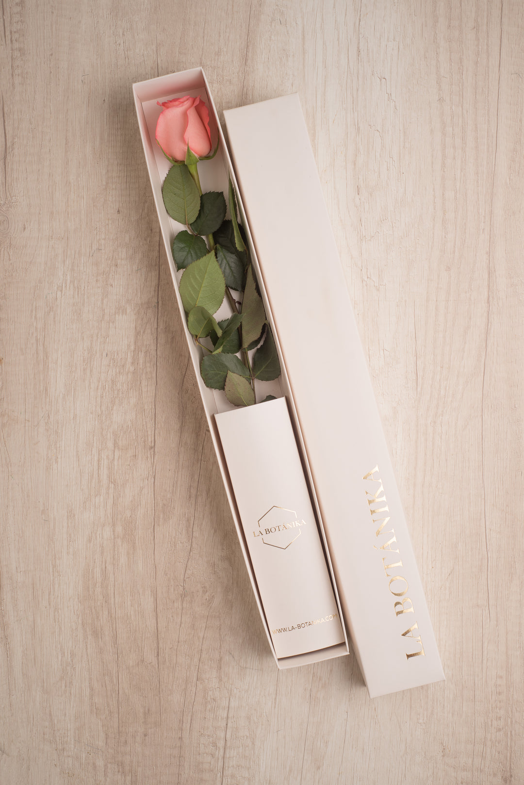 Classic Box 1 Rosa