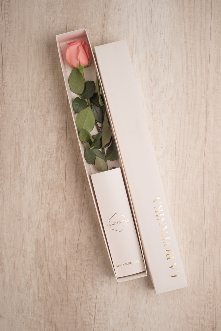 Classic Box 1 Rosa