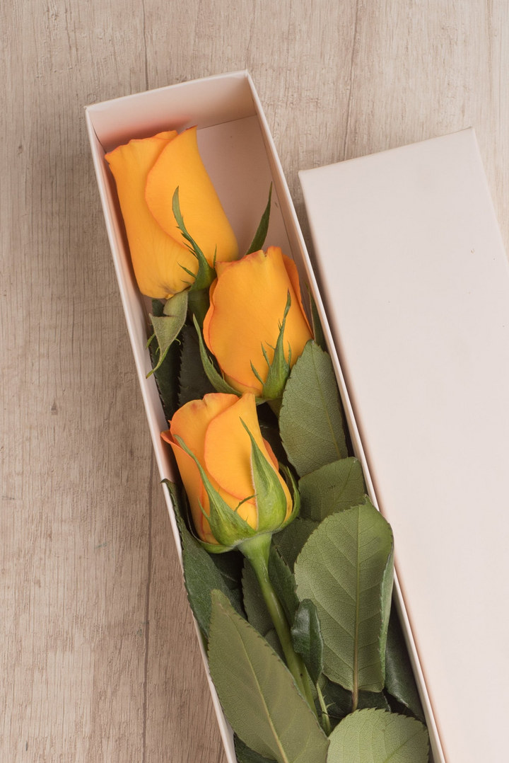 Classic Box 3 Rosas Amarillas - Flores amarillas