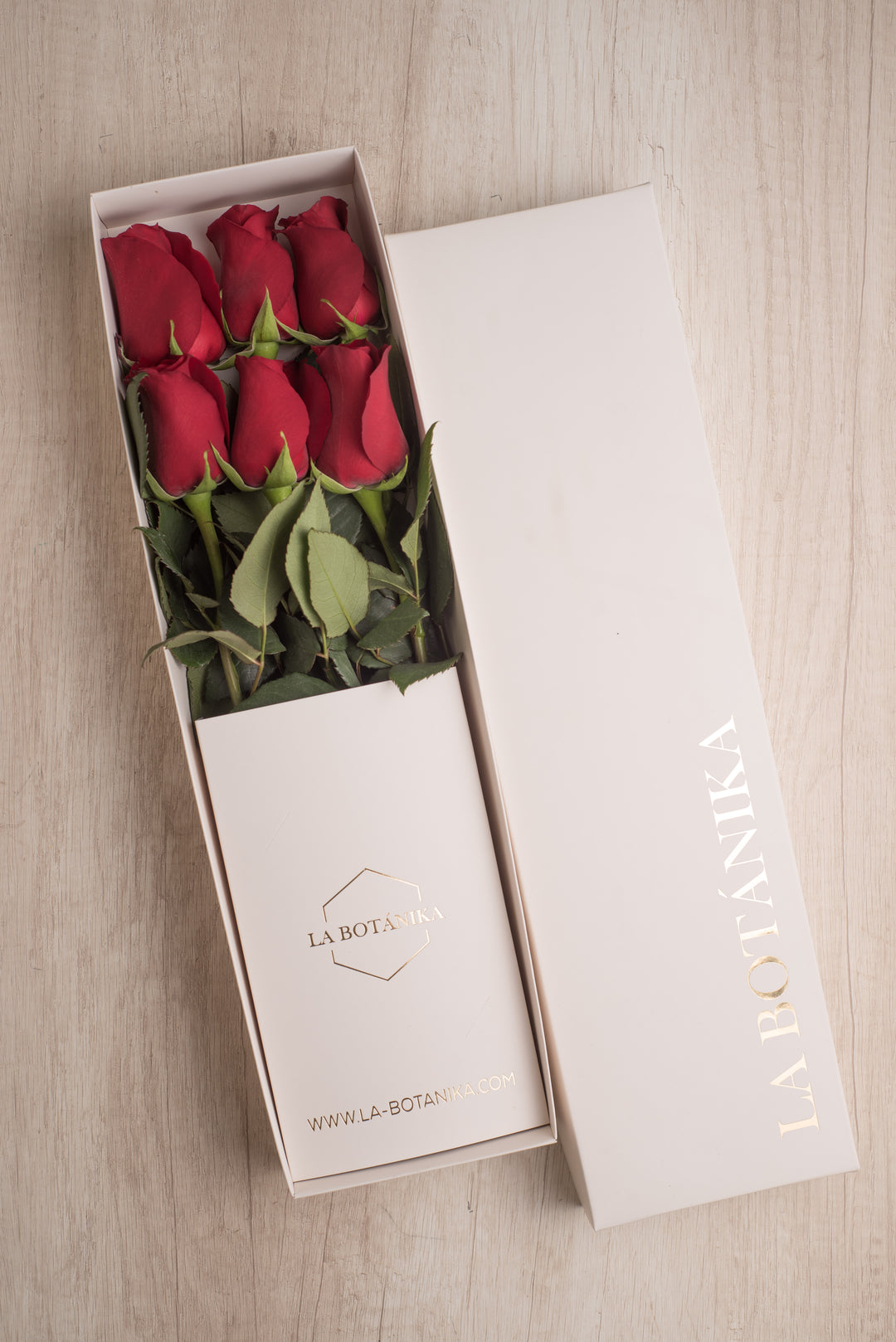Classic Box Ivory 6 Rosas
