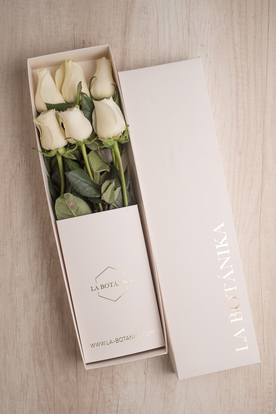 Classic Box Ivory 6 Rosas