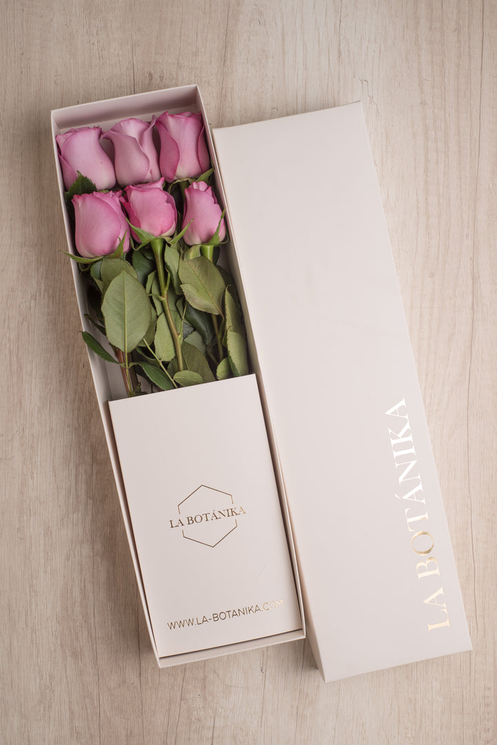 Classic Box Ivory 6 Rosas