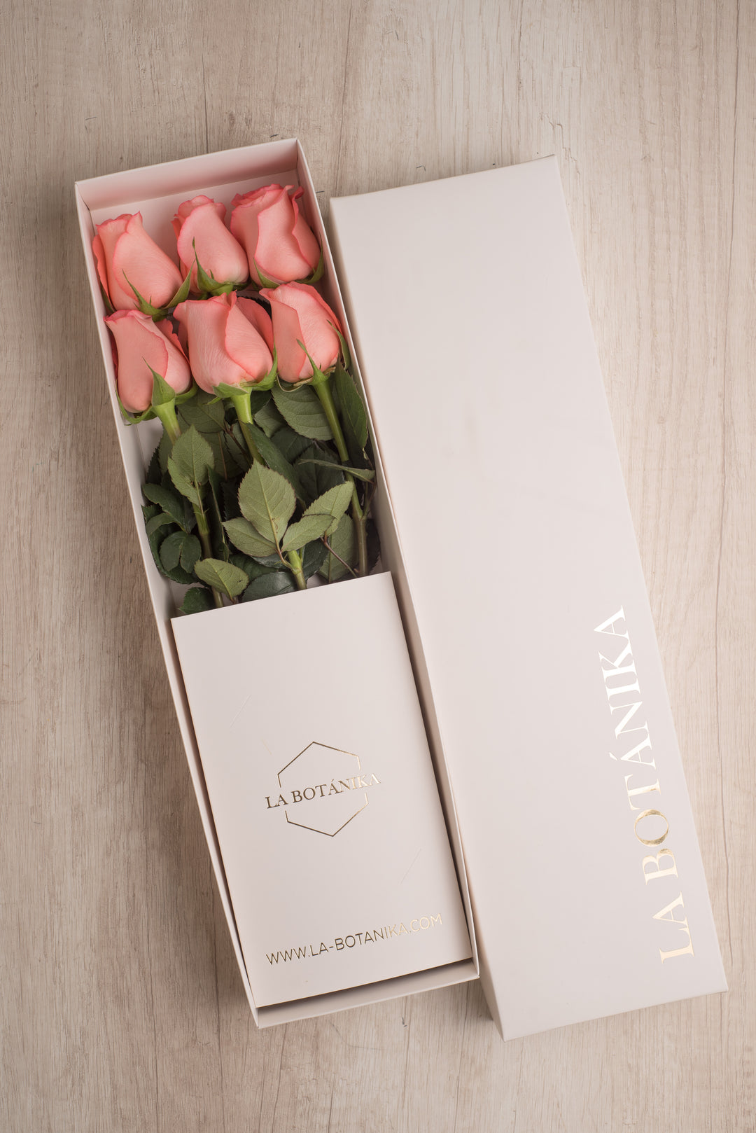 Classic Box Ivory 6 Rosas
