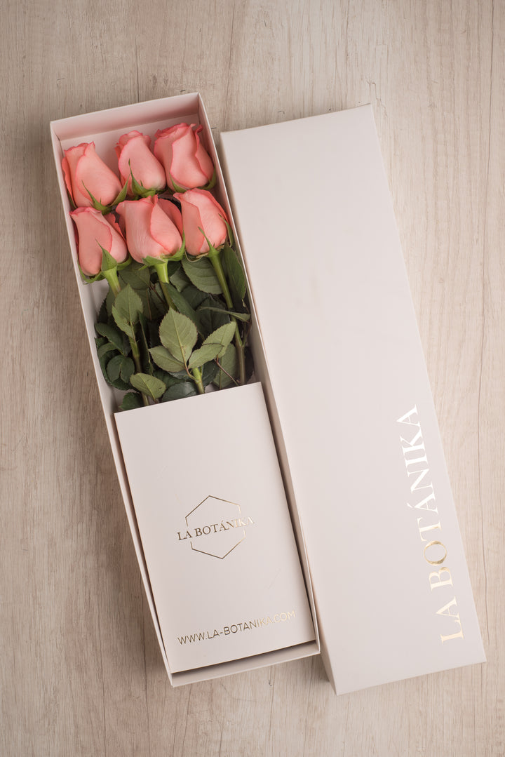 Classic Box Ivory 6 Rosas