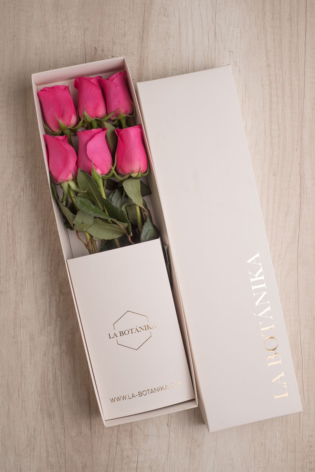 Classic Box Ivory 6 Rosas