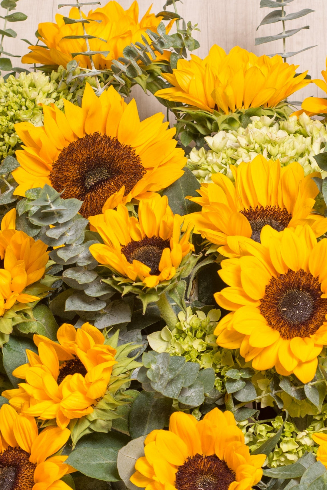 Canasta Splendid Sol - sameday