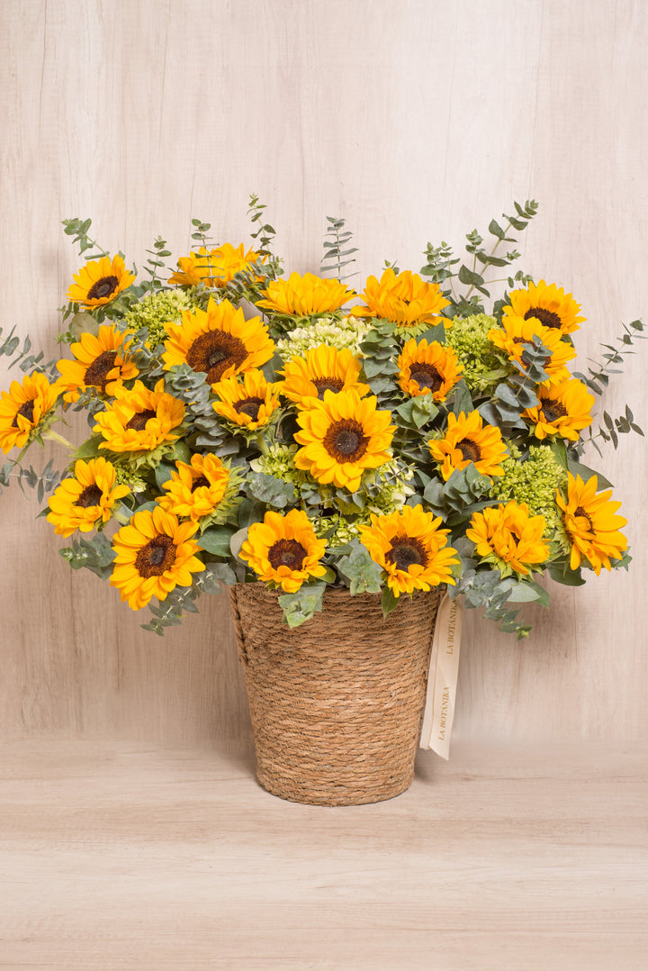 Canasta Splendid Sol