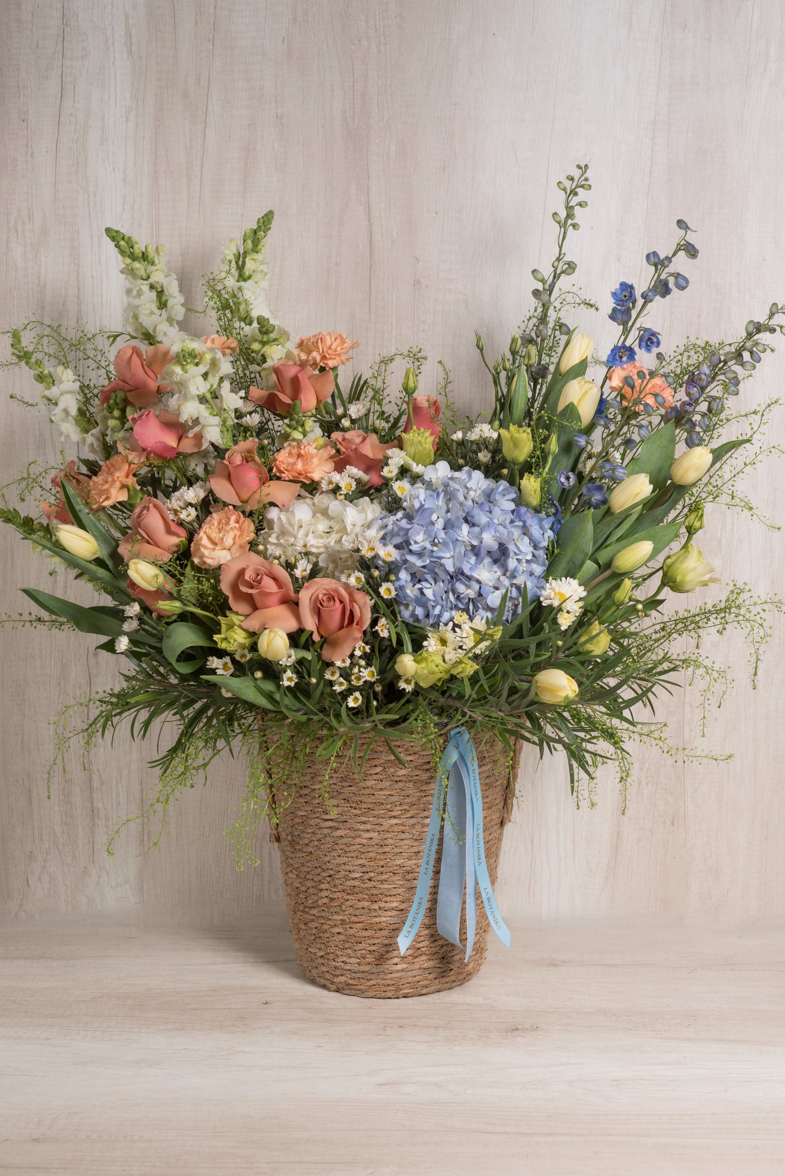 Canasta Splendid Gender Reveal