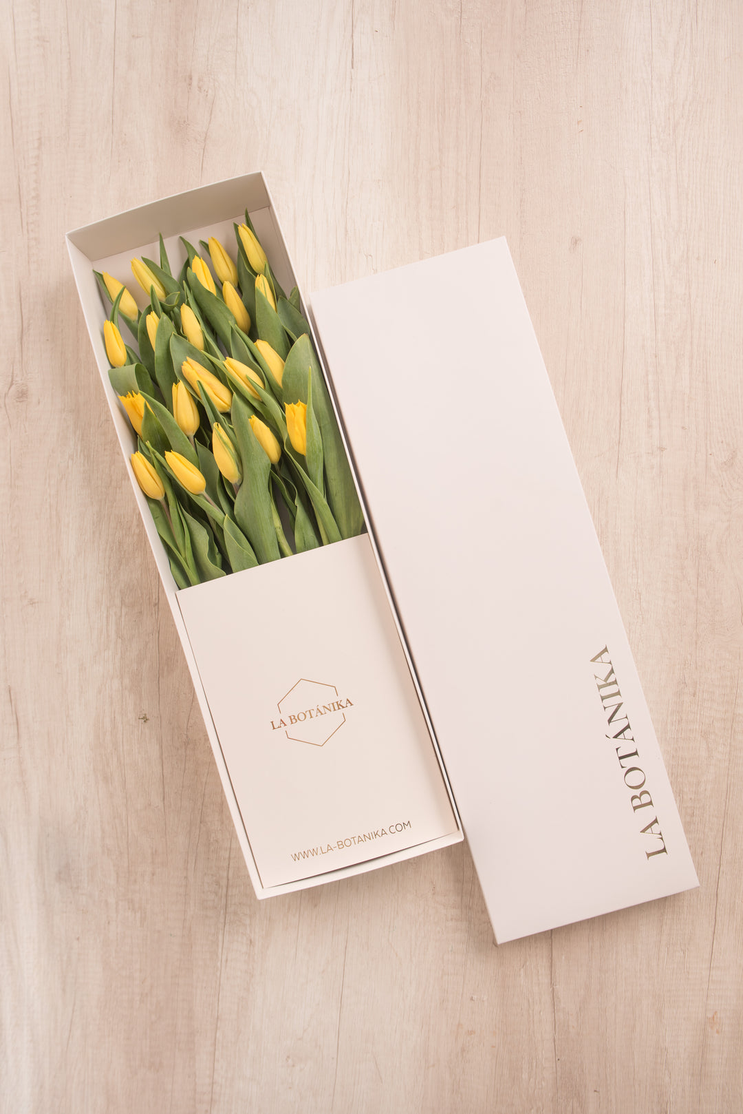 Classic Box Ivory 20 Tulipanes