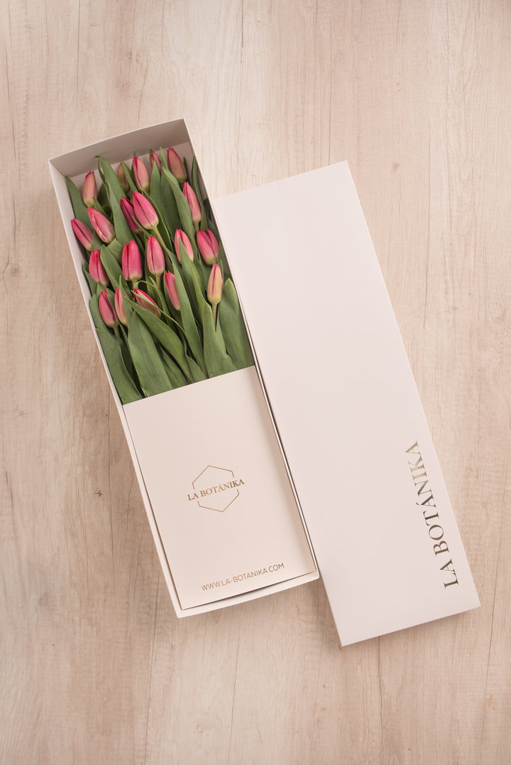 Classic Box Ivory 20 Tulipanes