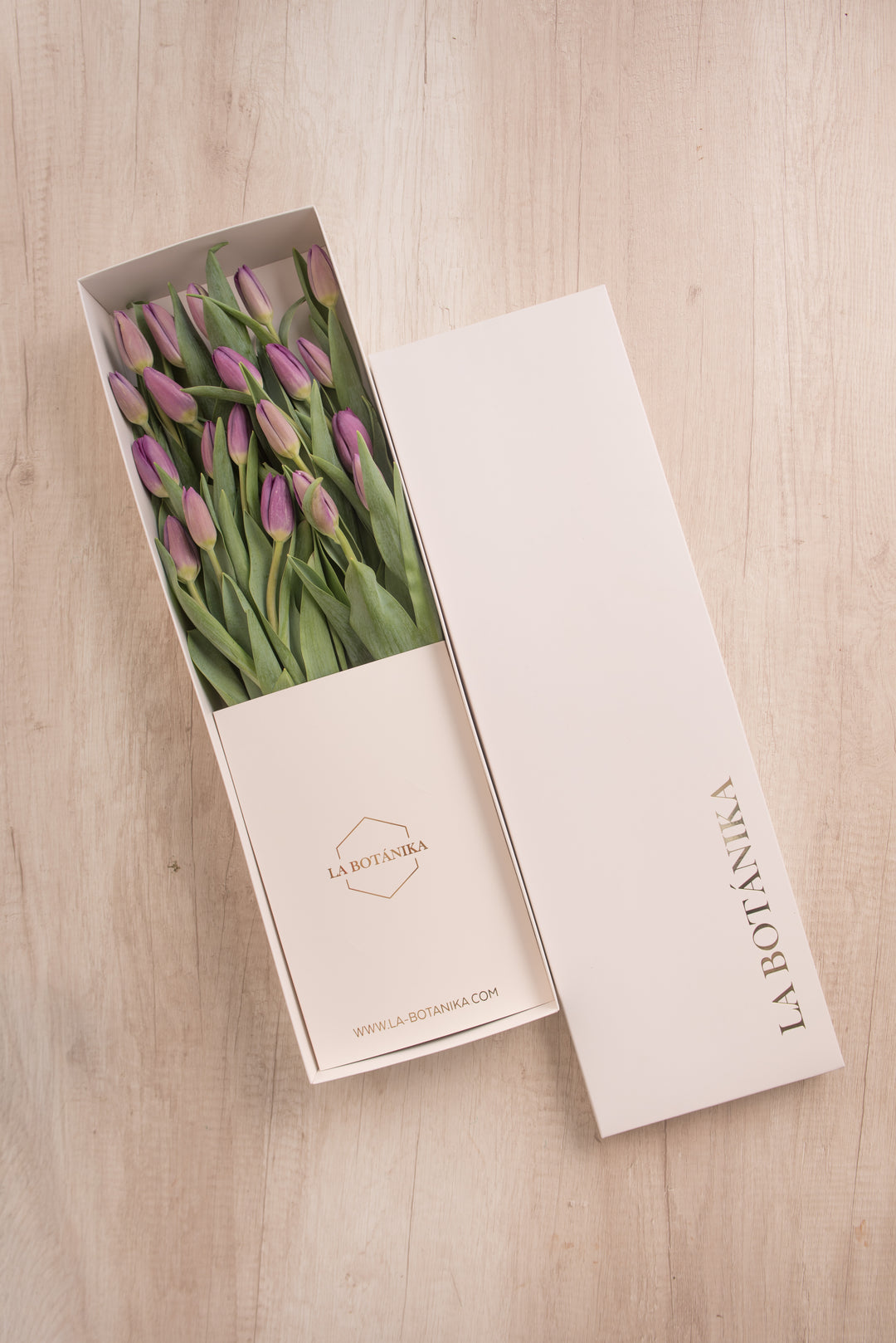 Classic Box Ivory 20 Tulipanes