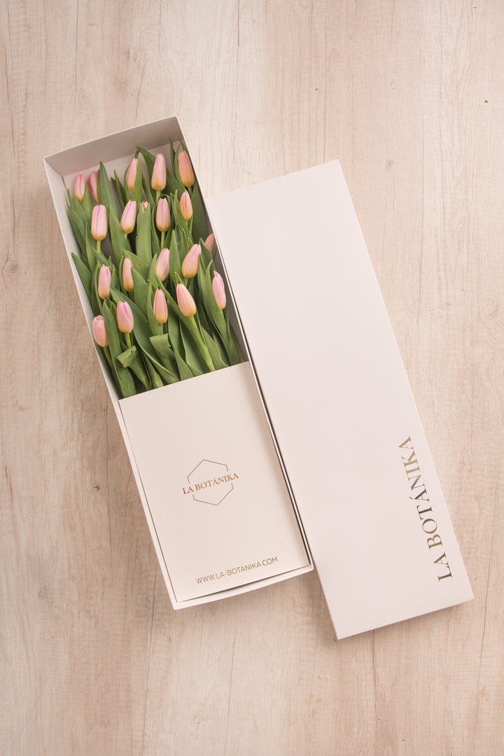 Classic Box Ivory 20 Tulipanes