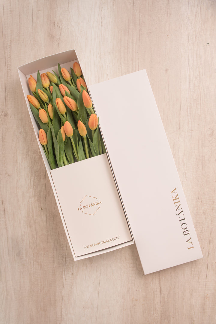Classic Box Ivory 20 Tulipanes