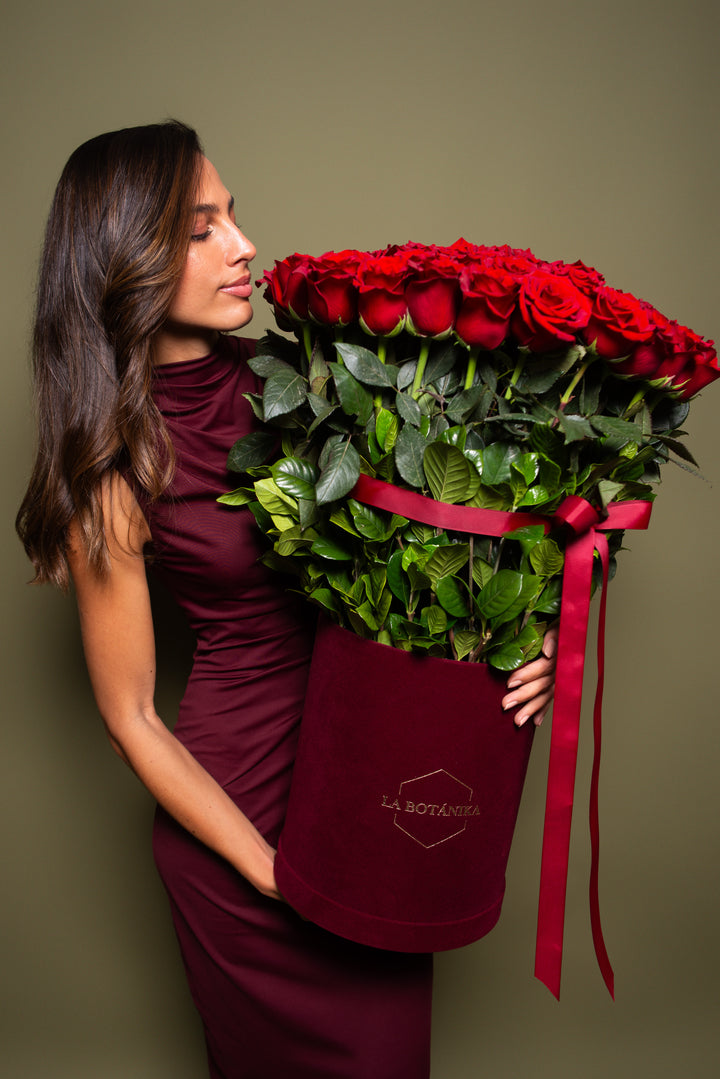 Splendid Box 75 Rosas Rojas