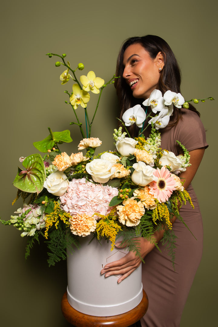 Splendid Box Gardenia